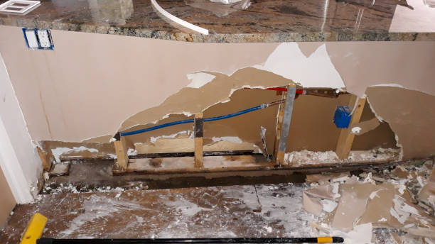 Best Basement water damage restoration  in Stokesdale, NC