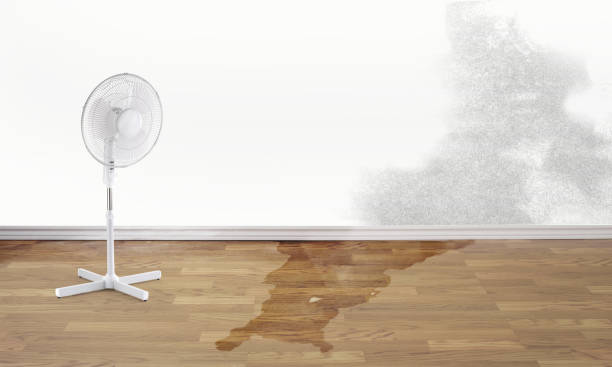 Best Fire Damage Restoration  in Stokesdale, NC