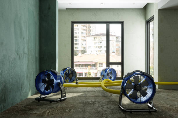 Best Ceiling water damage repair  in Stokesdale, NC